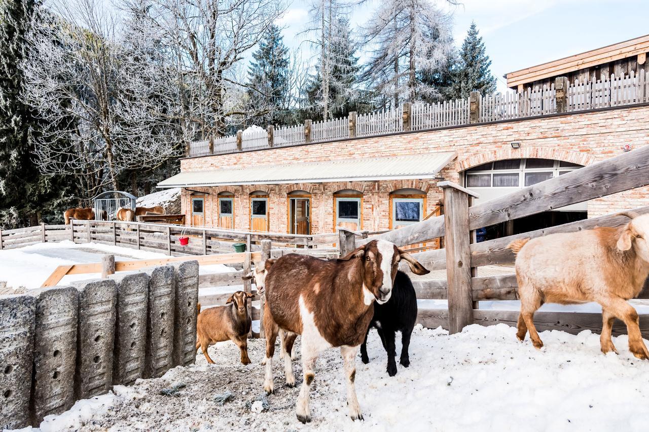 Peakini Farmhaus Villa Untertauern Buitenkant foto