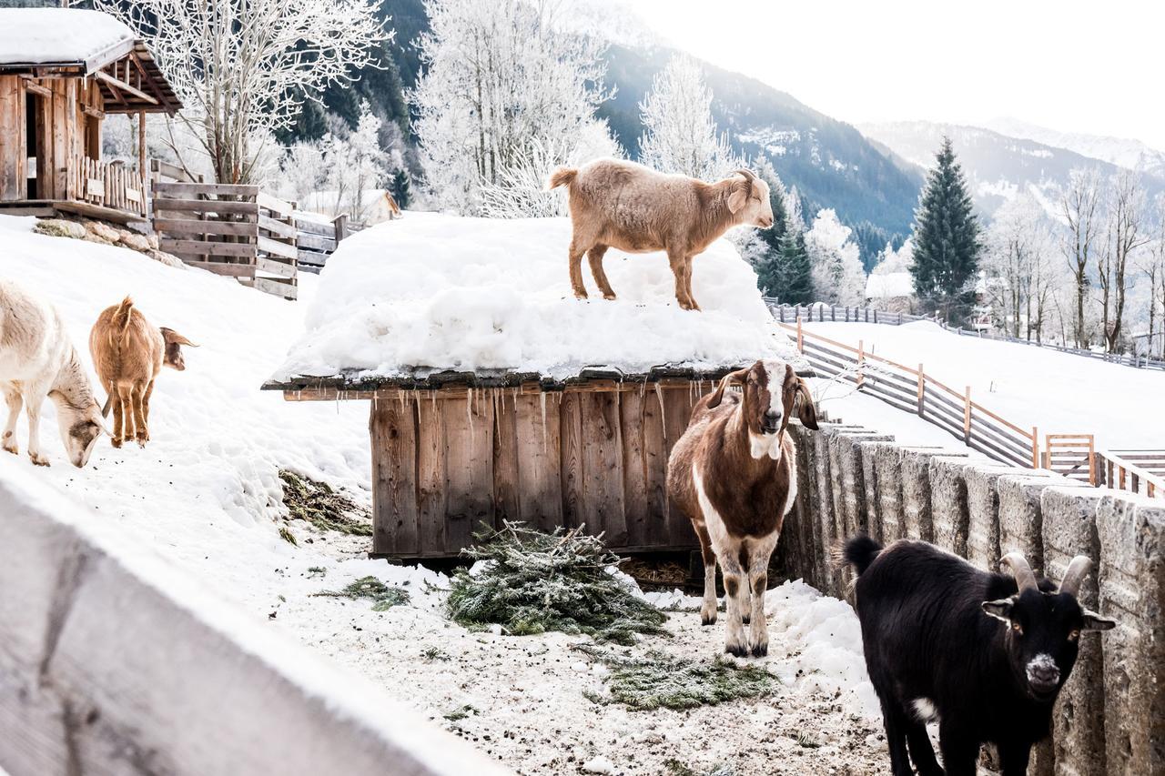 Peakini Farmhaus Villa Untertauern Buitenkant foto